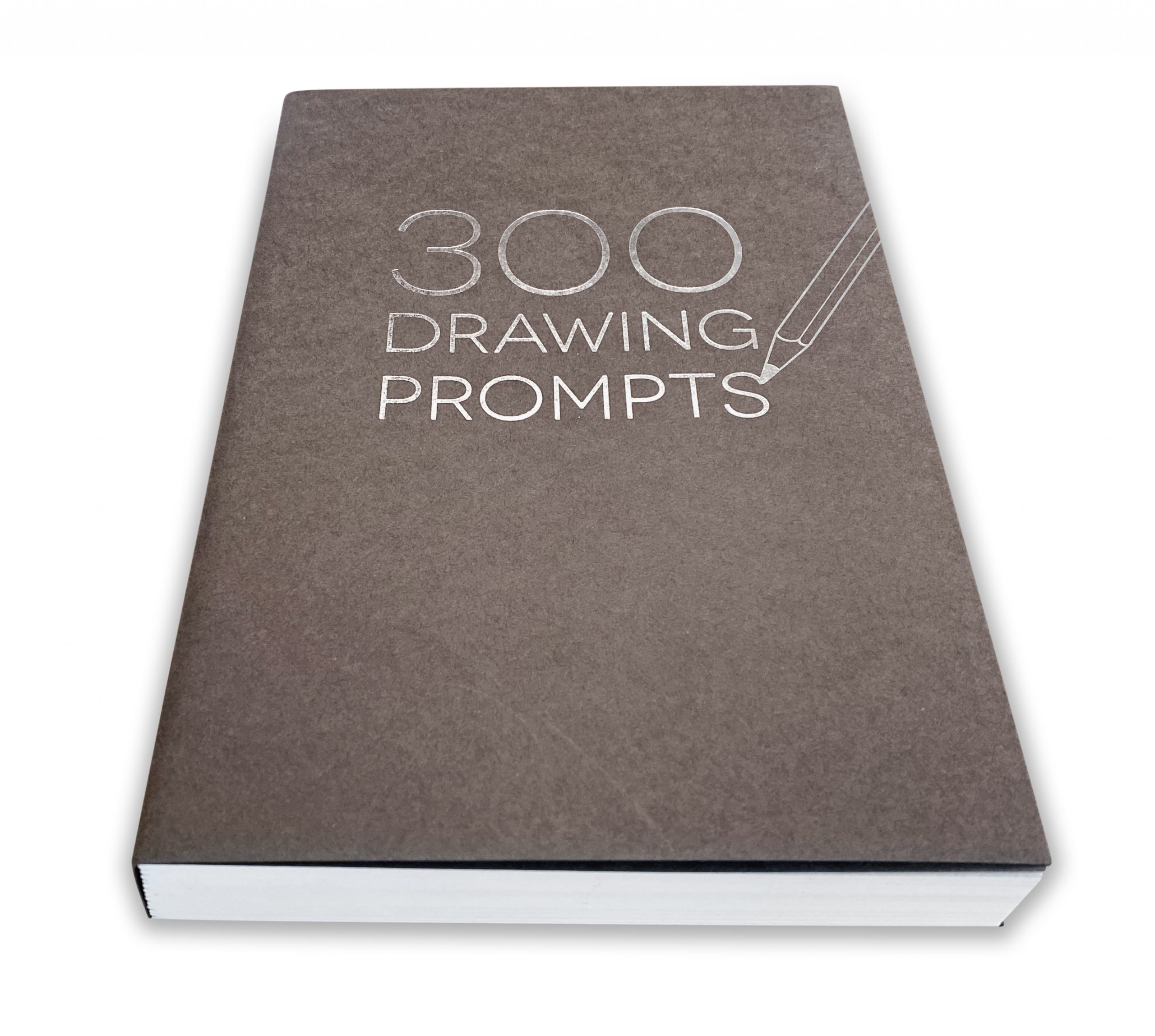 500 Drawing Prompts Journal