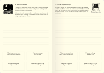 Evening Pages - Image 3